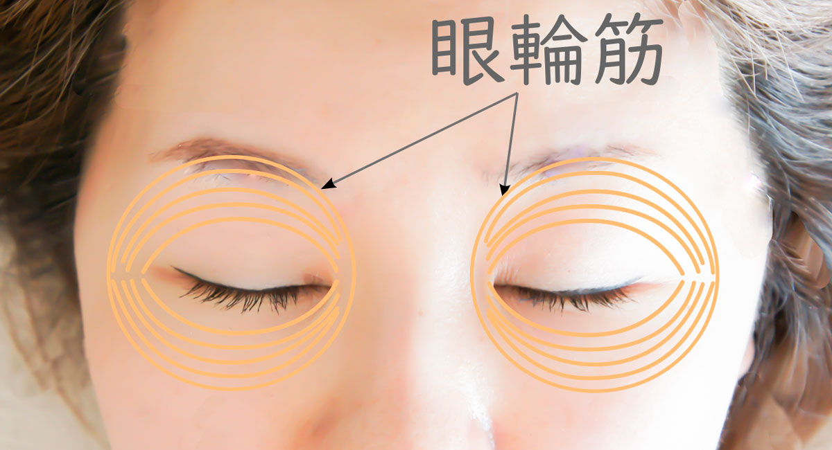 目の痙攣（眼瞼ミオキミア）に効くツボと鍼灸治療のご紹介
