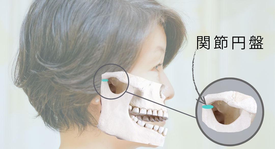 関節円盤の位置