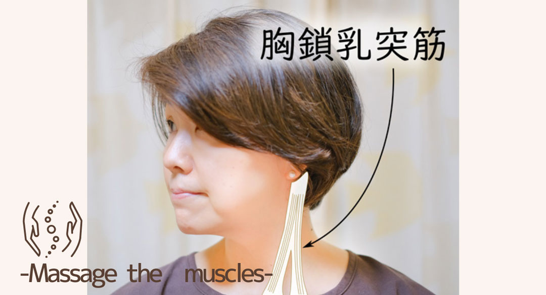 胸鎖乳突筋の位置