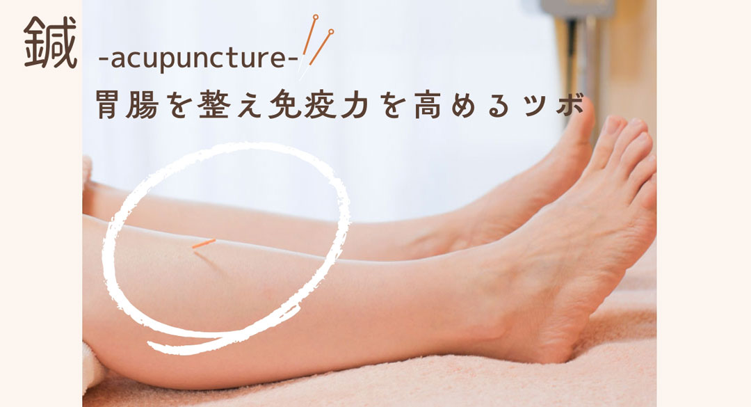免疫力を高めるツボ