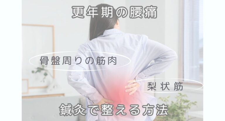 更年期の腰痛は骨盤まわりの筋肉や梨状筋が原因かも？鍼灸で整える方法
