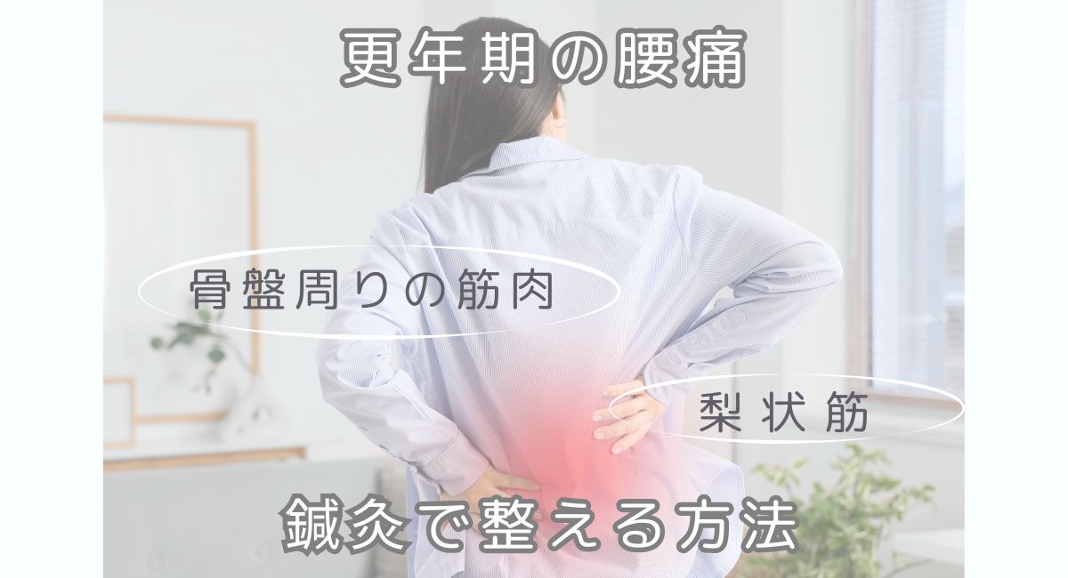 更年期の腰痛は骨盤まわりの筋肉や梨状筋が原因かも？鍼灸で整える方法